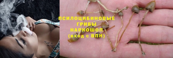 соль курить ск Алексеевка