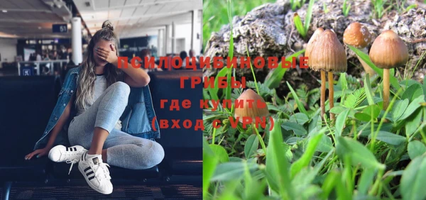 СК Алексин