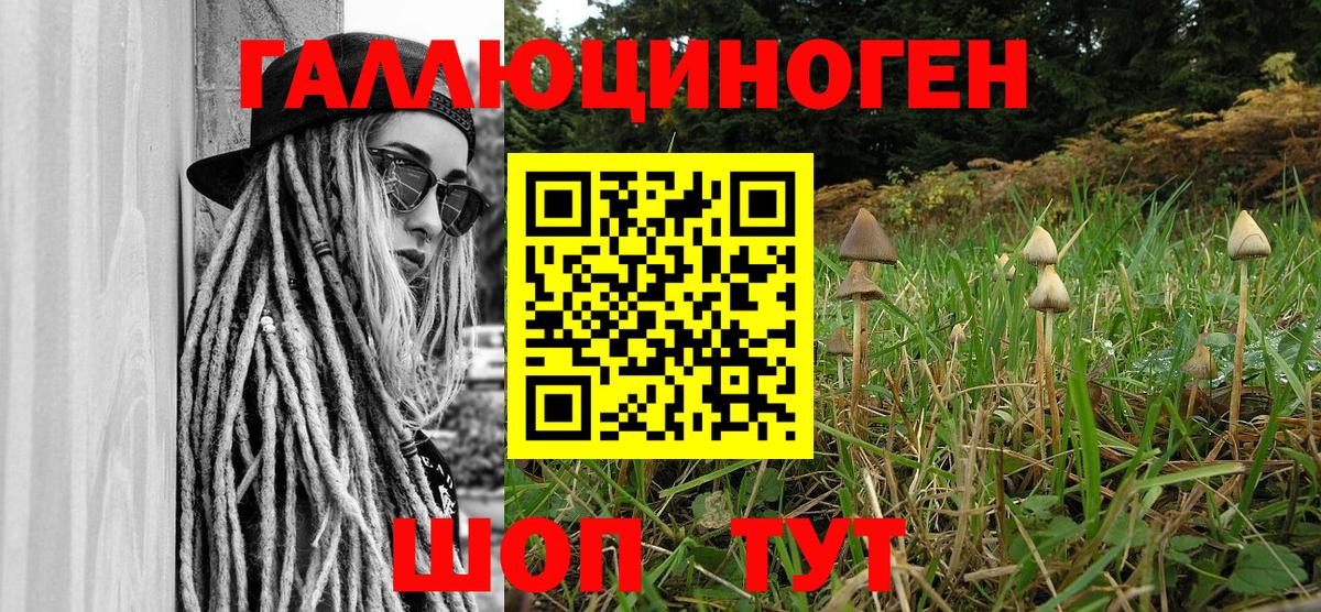 Псилоцибиновые грибы Psilocybe  Вход с VPN  Морозовск 